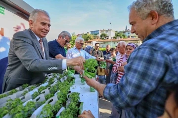 Denizli fesleğen kokacak
