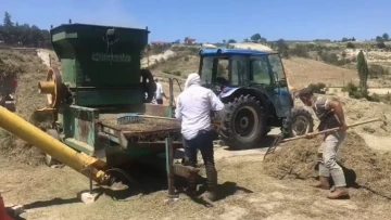 Denizli kekiğinde hasat sürüyor
