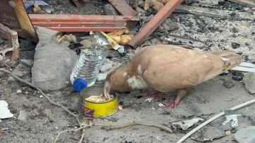 Deprem bölgesi Hatay’da Türk askerinin şefkati yürekleri ısıttı
