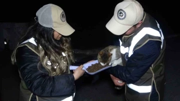 Deprem bölgesinden gelen ekipler, ayaklarının tozuyla sokak canlıları için sahaya indi
