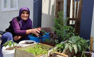 Depremde evi yıkılan 76 yaşındaki Eşe teyze, konteynerin önüne bahçe yaptı
