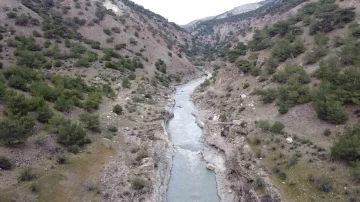 Depremde tarihi Vicina Köprüsü de yıkıldı
