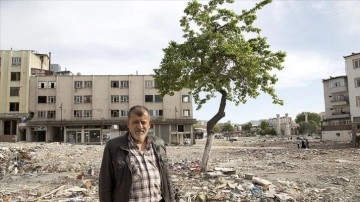 Depremde yıkılan çay ocağından geriye kalan kayısı ağacından vazgeçemiyor