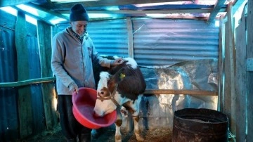 Depremden 8 gün sonra enkazdan çıkarılan hayvanlarıyla teselli buluyorlar