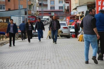 Depremin ardından vatandaşlar bu ilçeye akın etti
