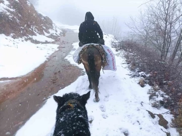 Depremzedelere katır sırtında yardım taşıyorlar
