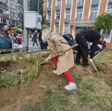 Devrek’te topraklar taflan ile buluştu
