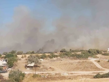 Didim’de bir yangın daha çıktı
