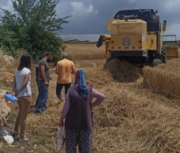 Didim’de hububat ekili araziler denetlendi
