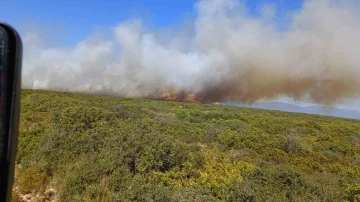 Didim’de makilik ve zirai alan yangını
