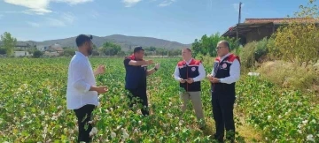 Didim’de üretim alanları kontrol edildi
