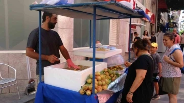 Dikenli incir tezgahlarda yerini aldı