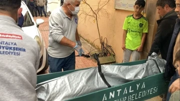 Diş hekimi başından silahla vurulmuş halde ölü bulundu
