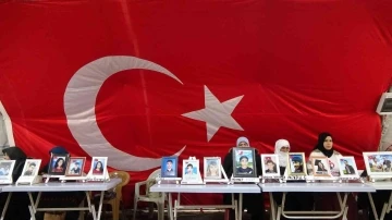 Diyarbakır annesi Nilifırka’dan evladına ’teslim ol’ çağrısı
