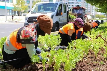 Diyarbakır’da 1 milyon 520 bin çiçek toprakla buluştu
