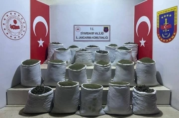 Diyarbakır’da 1 ton 148 kilogram esrar ve 606 kök kenevir bitkisi ele geçirildi
