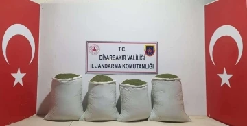 Diyarbakır’da 240 kilo esrar ele geçirildi
