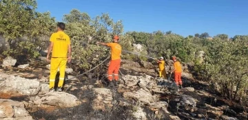 Diyarbakır’da iki ayrı anız yangını ormanlık alana sıçradı
