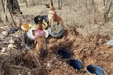 Diyarbakır’da jelikan bidon içerisine saklanmış 43 kilo esrar ele geçirildi
