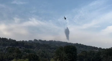 Diyarbakır’daki orman yangınları helikopter desteğiyle kontrol altına alındı
