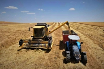 Diyarbakır hububatında tarihi rekolte: Çiftçinin yüzü güldü
