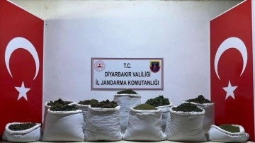 Diyarbakır'da 135 kilogram esrar ve 47 bin 800 kök Hint keneviri ele geçirildi