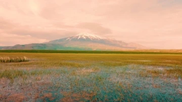 Doğa harikası Sütey Yaylası’nda renk cümbüşü
