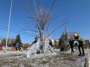 Donan ağaçlar kartpostallık görüntü oluşturdu
