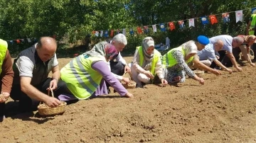 Dünyanın en pahalı baharatı safranın üretimine ORKÖY’den destek