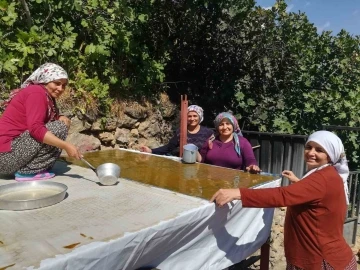 Dutun önemli geçim kaynağı olduğu Kemaliye’de kadınların zorlu pestil ve pekmez yapımı imece usulü ile eğlenceli hale geliyor
