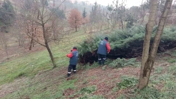 Düzce’yi park ve bahçeler güzelleştiriyor
