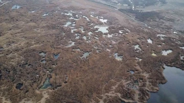 Eber Gölü için kuraklık alarmı!
