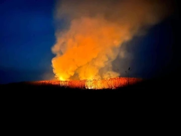 Eber Gölü’nde yine yangın
