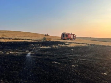 Edirne’de 40 dönüm buğday tarlası ve 500 saman balyası yandı
