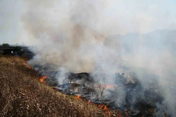 Anız yangını mahalleliye büyük korku yaşattı