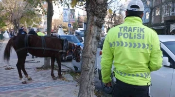 Edirne’de ilginç olay: Başıboş at 5 araca hasar verdi
