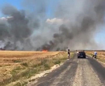Edirne’de tarla yangını: 50 dönüm buğday küle döndü
