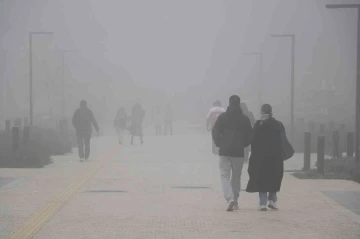 Edirne’de yoğun sis etkili oluyor
