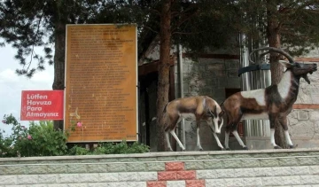 Balıkların kutsal sayıldığı suyu şifalı diye içiyorlar