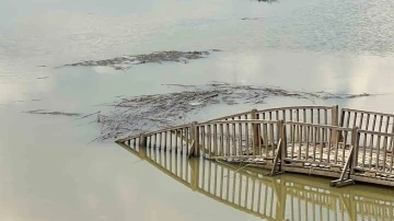 Efteni Gölü’nde hasarın boyutu ortaya çıktı
