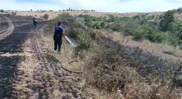 Ekili tarım arazisinde korkutan yangın
