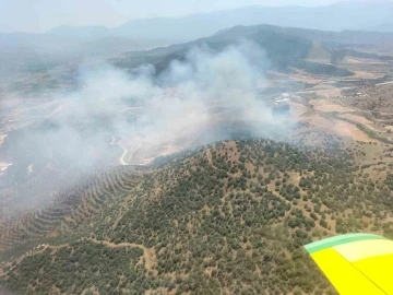 Ekin tarlasında başlayan yangın ormana sıçradı
