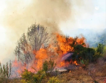 EKODOSD, vatandaşları yangınlara karşı uyardı
