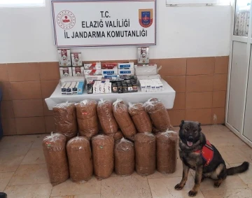 Elazığ’da 150 kilo kaçak tütün ele geçirildi
