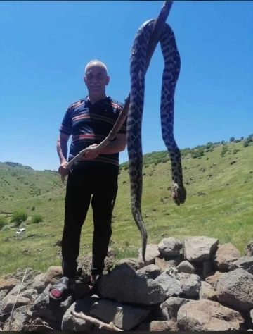 Elazığ’da görülen yılan vatandaşları tedirgin etti
