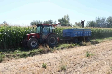 Elazığ’da silajlık mısır hasat etkinliği düzenlendi
