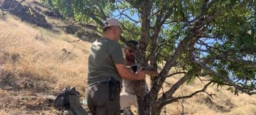 Elazığ’da yaban hayatını görüntüleyen fotokapanların bakımı yapıldı
