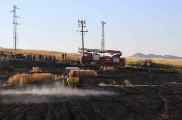 Elektrik direğinden sıçrayan kıvılcımlar 8 dönüm araziyi kül etti
