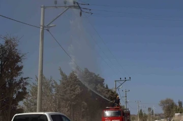 UEDAŞ elektrik hatlarını yıkayarak temizliyorlar