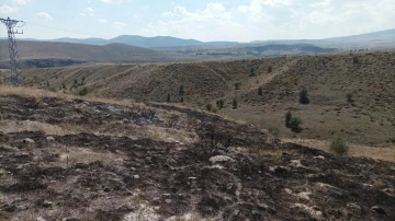 Elektrik trafosunda çıkan yangın araziye sıçradı
